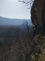 IMG_20260228_131735.jpg