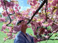 Hanami_2026_3.jpg