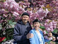 Hanami_2026_2.jpg