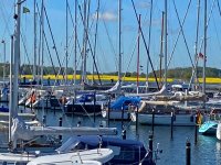 2026-0509-Masholm der Hafen.jpg 2026-0509-Masholm der Hafen.jpg