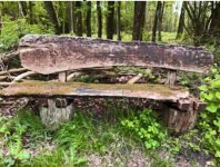 Alte Waldbank.jpg Alte Waldbank.jpg