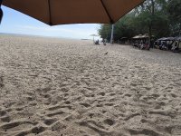 IMG_20260528_163954.jpg
