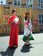 Viet_Sommerfest_2026_04.jpg