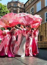 Viet_Sommerfest_2026_06.jpg