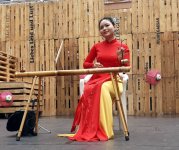 Viet_Sommerfest_2026_13.jpg