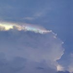 IMG_20220512_163435.jpg