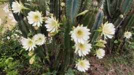 678537354_2798249573852536_4491596971877797930_n.jpg